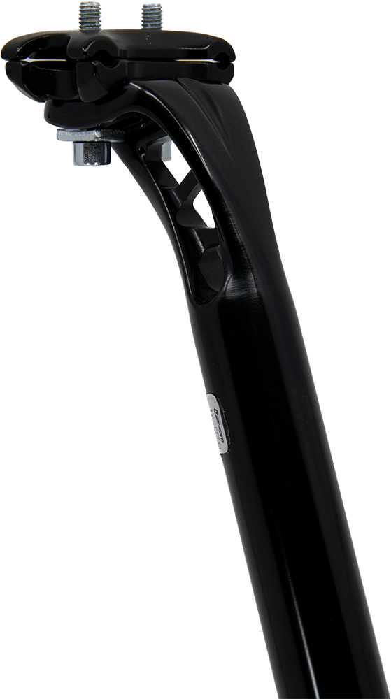 BAKFIETS.NL Sattelstütze schwarz poliert, 27.2x400mm